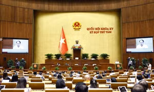 Tuần làm việc thứ 3, Kỳ họp thứ 8, Quốc hội khóa XV