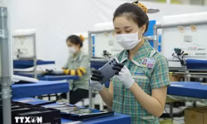Công bố Bảng xếp hạng Top 500 doanh nghiệp lớn nhất Việt Nam năm 2024
