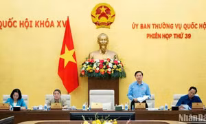 Bảo đảm chất lượng các dự thảo luật, nghị quyết trình Quốc hội biểu quyết thông qua