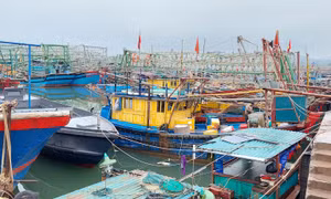 Đội tàu khai thác vùng lộng, vùng khơi phát huy hiệu quả
