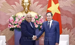 Chủ tịch Quốc hội Trần Thanh Mẫn tiếp Đại sứ Cuba