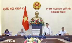 Luật dữ liệu là công cụ quan trọng để thúc đẩy Chuyển đổi Số quốc gia