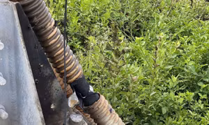 Cắt trộm dây điện, bị điện giật bất tỉnh