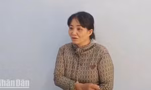 Kiên Giang: Bắt khẩn cấp "mẹ nuôi" hành hung bé gái làm mất vé số