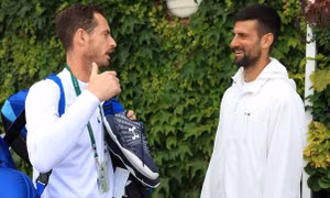 Andy Murray trở thành huấn luyện viên của Novak Djokovic