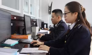 Ngành hải quan tăng cường kỷ luật, kỷ cương trong thi hành công vụ