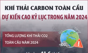 Khí thải carbon toàn cầu dự kiến cao kỷ lục trong năm 2024
