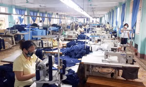 Đẩy mạnh thu hồi, giảm nợ BHXH