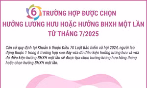 6 trường hợp được chọn hưởng lương hưu hoặc Bảo hiểm xã hội 1 lần