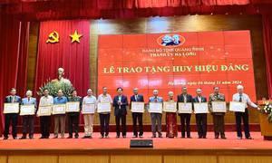 TP Hạ Long: Trao tặng Huy hiệu Đảng đợt 7/11/2024
