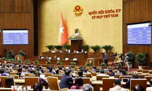 Kỳ họp thứ 8, Quốc hội khóa XV: Quốc hội thông qua Luật Điện lực