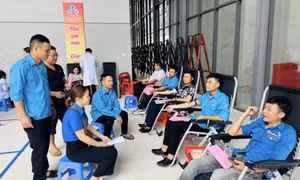 Lan tỏa sâu rộng việc học và làm theo Bác trong ĐVTN