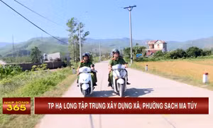 TP Hạ Long tập trung xây dựng xã, phường sạch ma túy