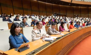 Cấm thuốc lá điện tử từ năm 2025