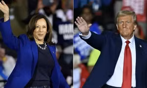 Ông Trump và bà Harris làm gì trước ngày bầu cử?
