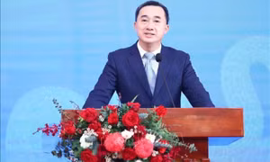 Thủ tướng bổ nhiệm Chủ tịch, Phó Chủ tịch Hội đồng Y khoa Quốc gia