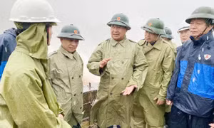 Chủ tịch tỉnh Quảng Trị giữ chức Thứ trưởng Nông nghiệp và Phát triển nông thôn