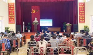 Hải Hà hướng dẫn triển khai công tác bầu cử trưởng thôn, bản, khu phố nhiệm kỳ 2025-2027