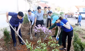Phát huy sức mạnh đại đoàn kết toàn dân tộc trong giai đoạn mới