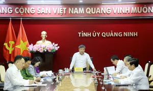 Họp Thường trực Ban Chỉ đạo Phòng, chống tham nhũng, tiêu cực tỉnh