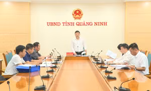 UBND tỉnh cho ý kiến vào Dự thảo Nghị quyết quy định hỗ trợ phát triển thủy lợi