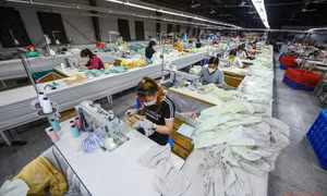 Thu ngân sách nhà nước lũy kế 10 tháng bằng 116,3% so cùng kỳ năm 2023