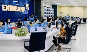 Eximbank lên tiếng về việc "bị Ngân hàng Nhà nước thanh tra"