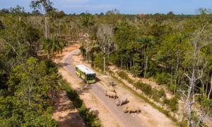 Vinpearl Safari Phú Quốc lọt top đầu vườn thú và thủy cung tại châu Á