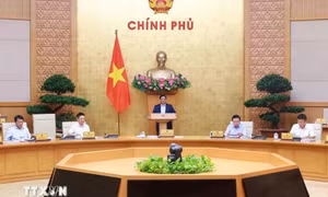 Thủ tướng: Phấn đấu đạt và vượt toàn bộ 15 chỉ tiêu chủ yếu của năm 2024