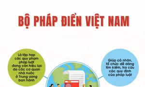 Bộ Pháp điển Việt Nam - công cụ tra cứu quy định pháp luật hữu ích cho người dân, doanh nghiệp