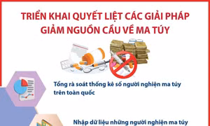 Triển khai quyết liệt các giải pháp giảm nguồn cầu về ma túy