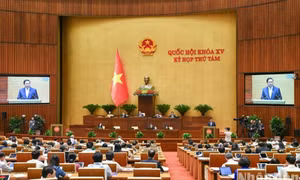 Thông cáo báo chí số 19, Kỳ họp thứ 8, Quốc hội khóa XV