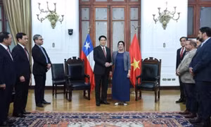 Chile là một trong những đối tác quan trọng hàng đầu của Việt Nam ở Mỹ Latinh
