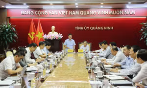Đoàn khảo sát Ban Kinh tế Trung ương làm việc với tỉnh Quảng Ninh