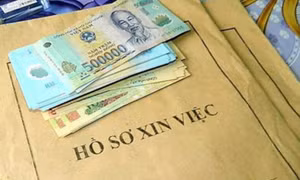 Cảnh giác thủ đoạn lừa đảo xin việc