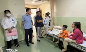 Một em nhỏ ở Đắk Lắk tử vong do ăn trứng cóc