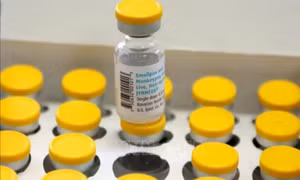 WHO phê duyệt vaccine phòng bệnh đậu mùa khỉ thứ hai do Nhật Bản bào chế