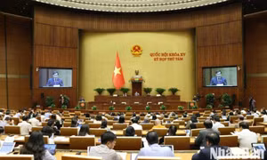 Thông cáo báo chí số 20, Kỳ họp thứ 8, Quốc hội khóa XV