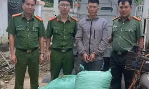 Chủ đại lý giúp công an bắt trộm ở Đắk Nông
