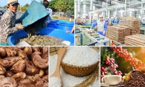 Hoa Kỳ là thị trường xuất khẩu nông sản lớn nhất của Việt Nam