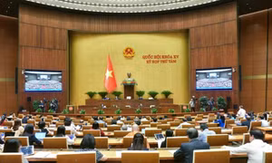 ​Thông cáo báo chí số 25, kỳ họp thứ 8, Quốc hội khóa XV