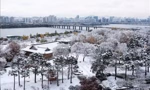 Thủ đô Seoul (Hàn Quốc) hứng chịu bão tuyết tồi tệ nhất trong hơn 50 năm