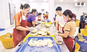 Tăng tốc xuất khẩu nông sản cuối năm