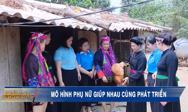 Mô hình phụ nữ giúp nhau cùng phát triển