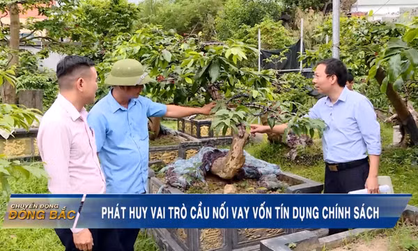 Phát huy vai trò cầu nối vay vốn tín dụng chính sách