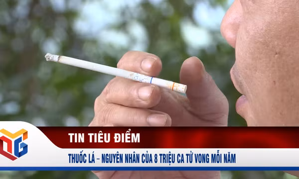 Thuốc lá – Nguyên nhân của 8 triệu ca tử vong mỗi năm