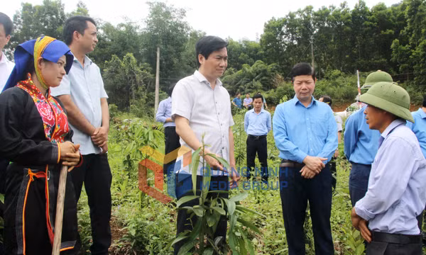 Chủ tịch UBND tỉnh Nguyễn Tường Văn kiểm tra chương trình xây dựng NTM tại huyện Ba Chẽ, tháng 5-2022