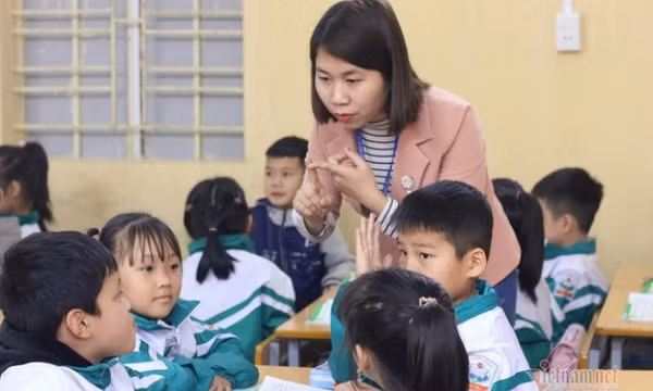 Quy định về xếp lương giáo viên tiểu học khi tuyển dụng
