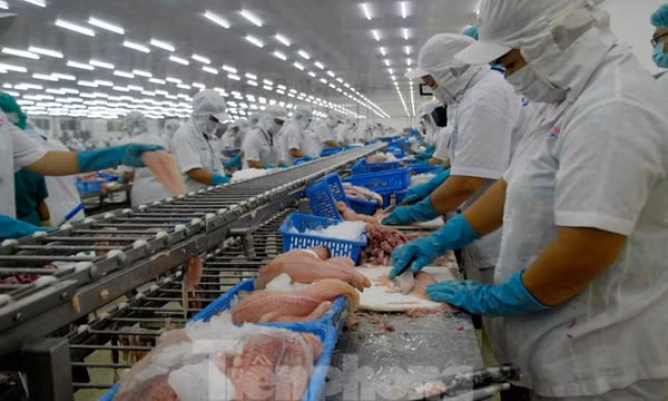 Giá cá tra xuất khẩu sang Mỹ lập đỉnh mới