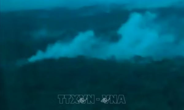 Toàn bộ 11 người trên máy bay bị rơi ở Cameroon thiệt mạng